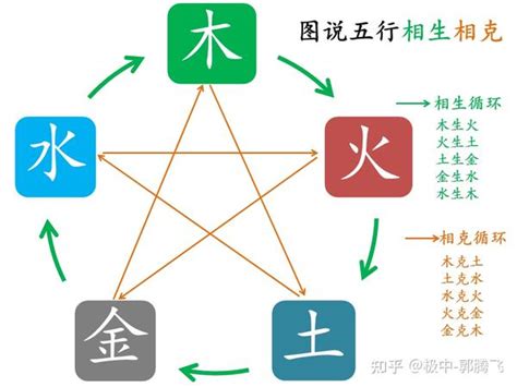 五行 木和金|郭极中：解析五行（木、火、土、金、水）相克的理论。